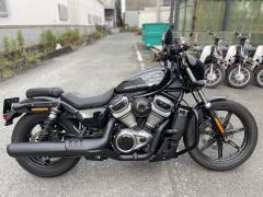 HD RH975 NIGHT STAR 2022