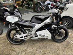 Yamaha TZR250 1989