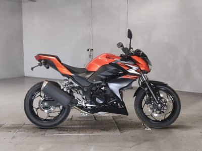 Kawasaki Z250 2014