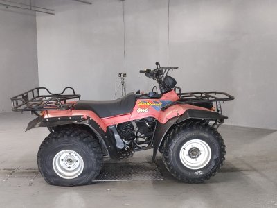 Suzuki QUAD RUNNER250 2023