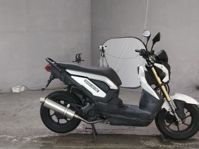 Honda ZOOMER-X 2014