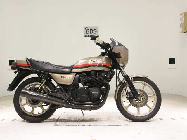 Kawasaki Z750GP 2023