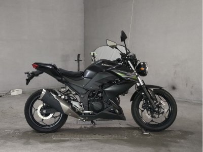 Kawasaki Z250 2013