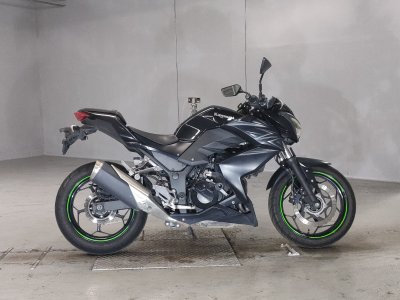 Kawasaki Z250 2016