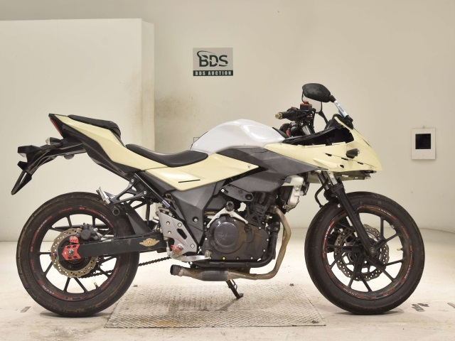 Suzuki GSX250R