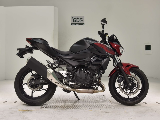 Kawasaki Z250 2019