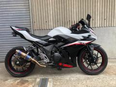 Suzuki GSX250R