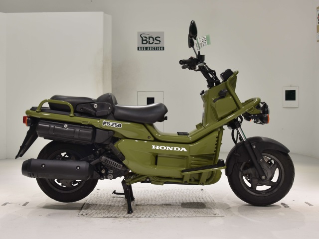 Honda PS250 BIG RUCKUS 2006