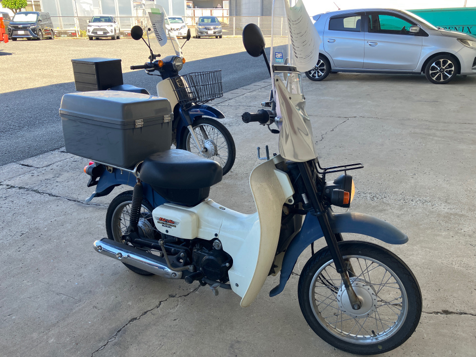 Suzuki BIRDIE50