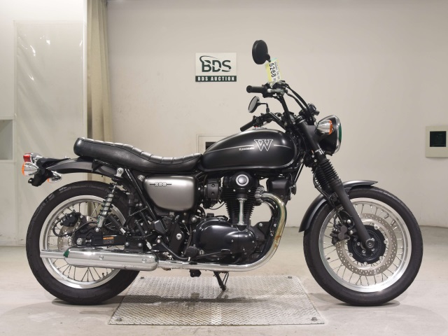 Kawasaki W800 2019