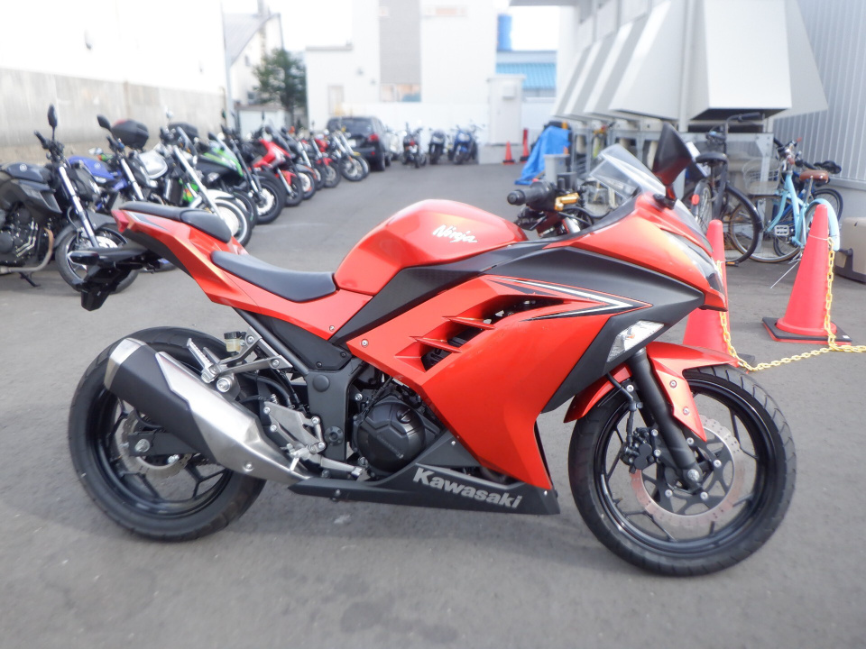 Kawasaki NINJA250 2016