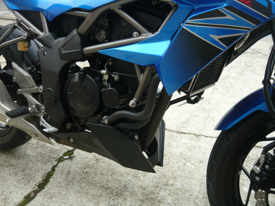 Kawasaki Z250SL 2016