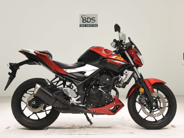 Yamaha MT-25 2016