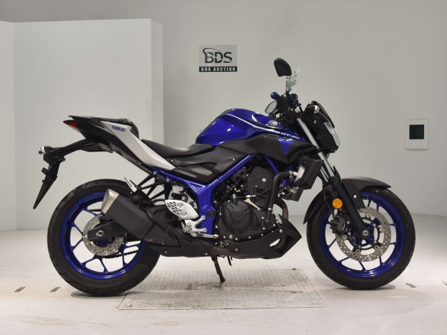 Yamaha MT-25 2017