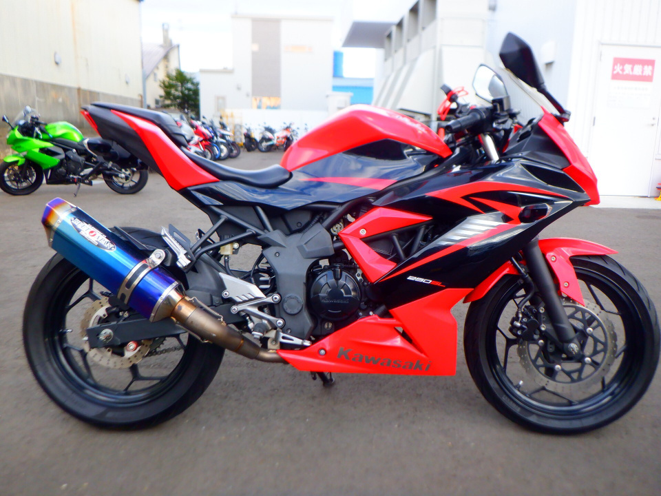 Kawasaki NINJA250 2015
