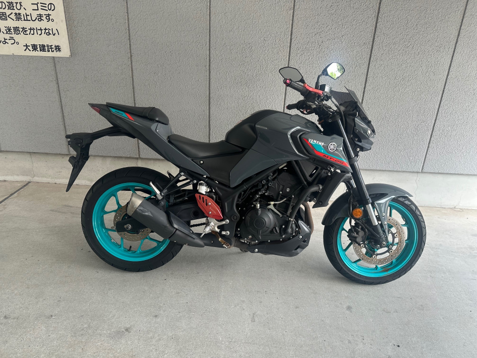 Yamaha MT-25 2022