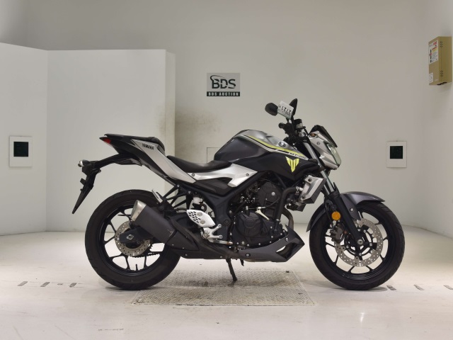 Yamaha MT-25 2017