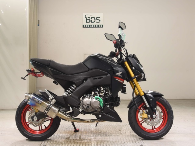 Kawasaki Z125 PRO 2021