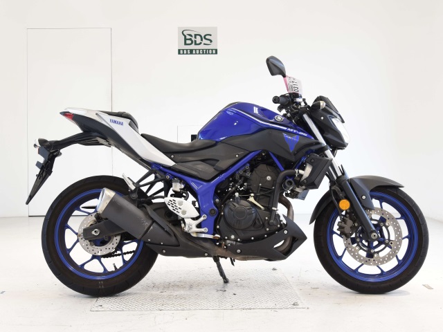 Yamaha MT-25 2017