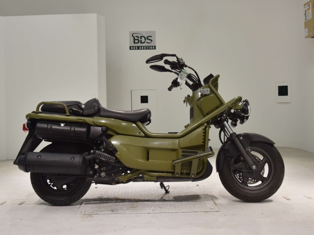 Honda PS250 BIG RUCKUS 2006