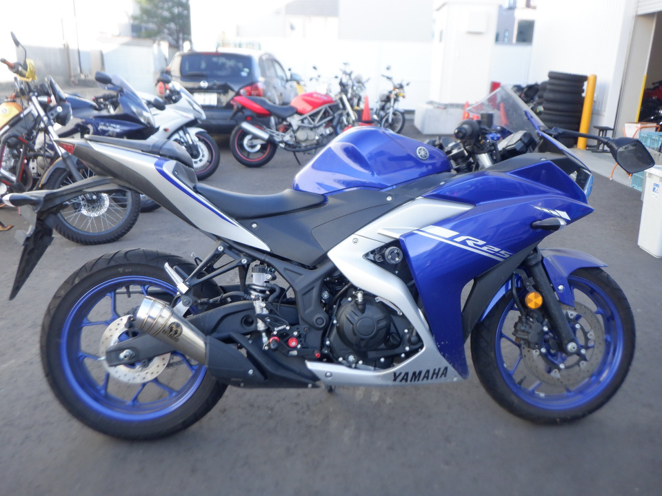 Yamaha YZF-R25 2017