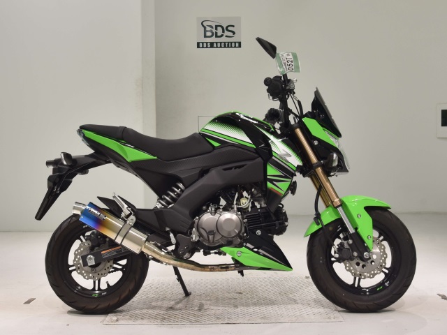 Kawasaki Z125 PRO 2017