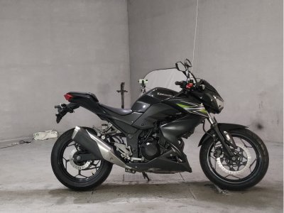 Kawasaki Z250 2013