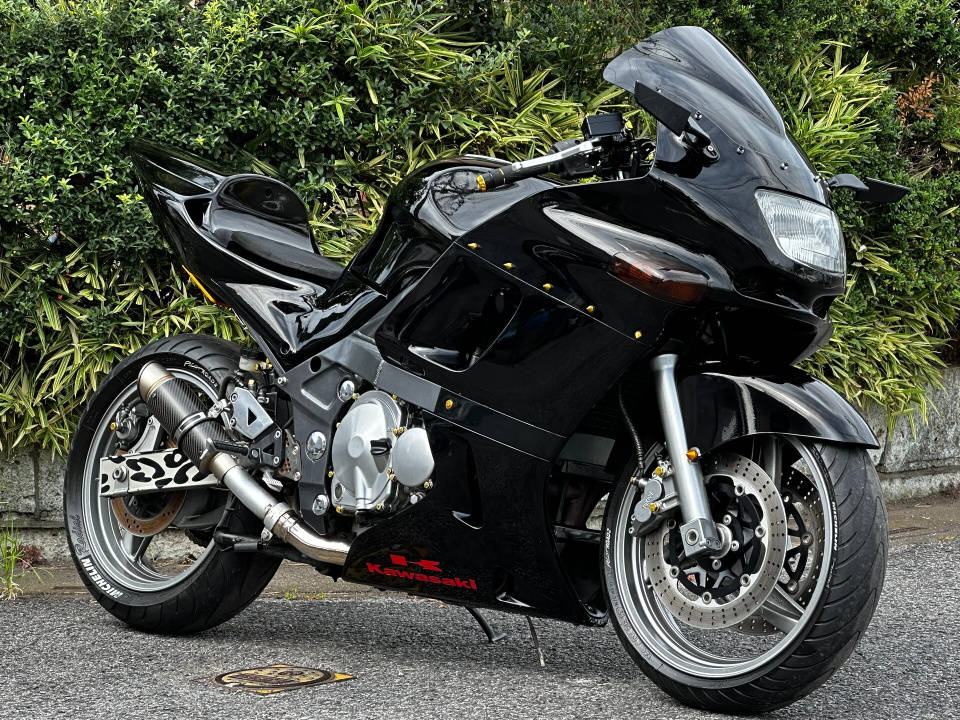 Kawasaki ZZ-R400 2005