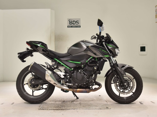 Kawasaki Z250 2024