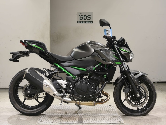 Kawasaki Z250 2024