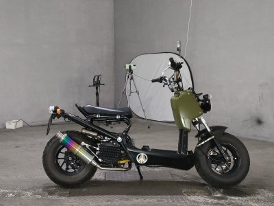 Honda ZOOMER 2009