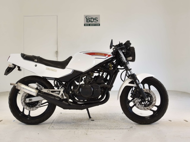 Yamaha RZ250R 1986