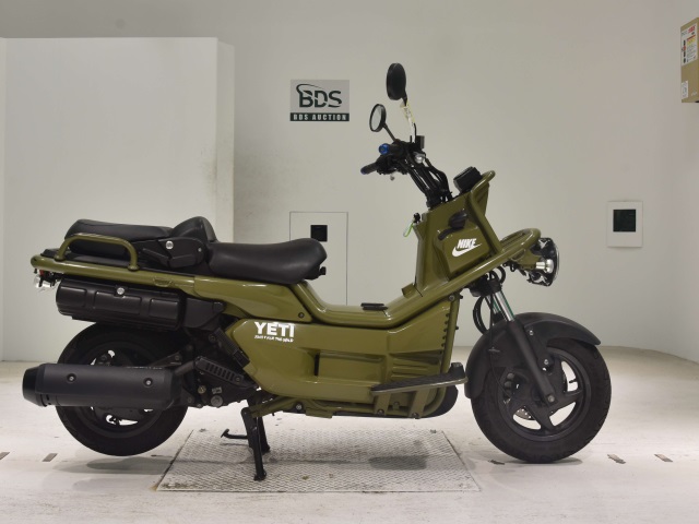 Honda PS250 BIG RUCKUS 2006