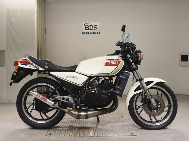 Yamaha RZ250