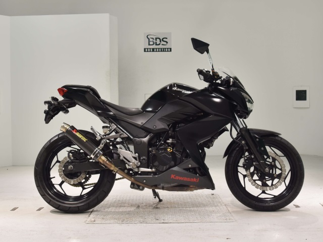 Kawasaki Z250 2013