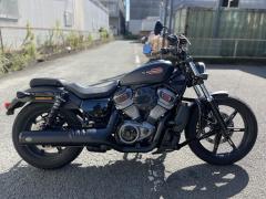 HD RH975 NIGHT STAR 2023