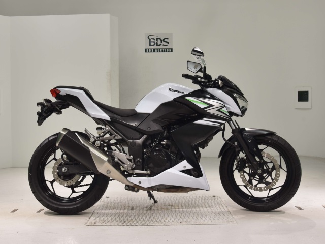 Kawasaki Z250 2014
