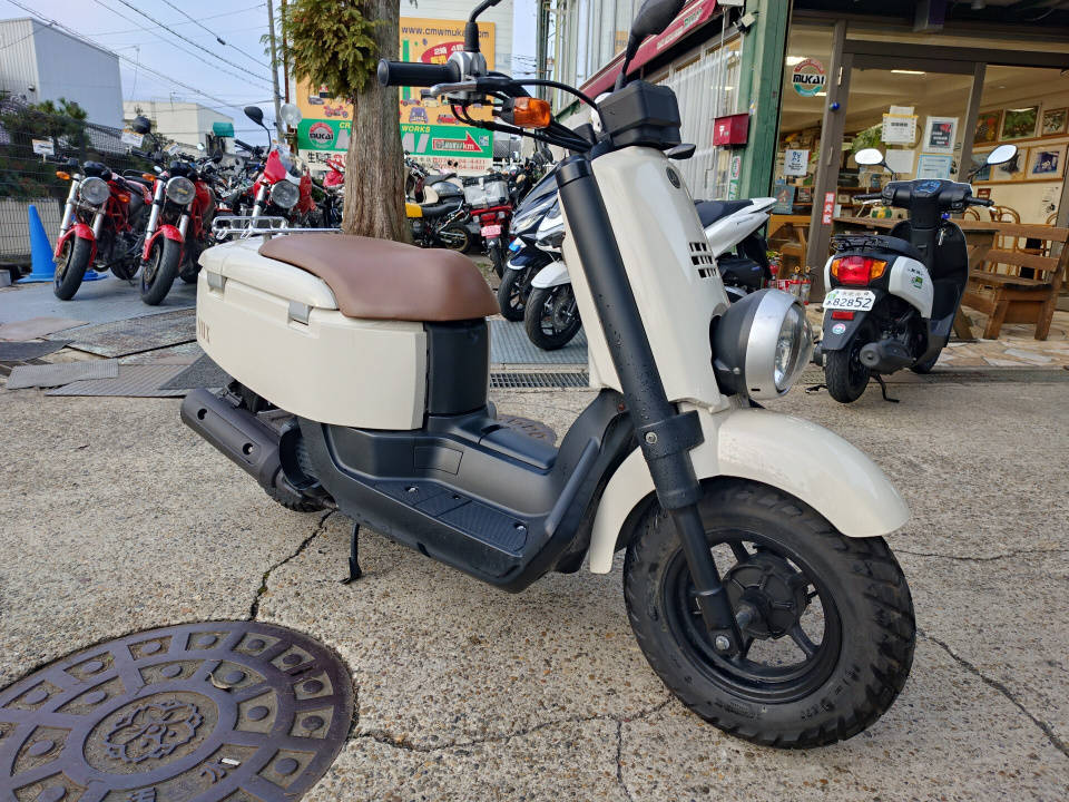 Yamaha VOX 2010