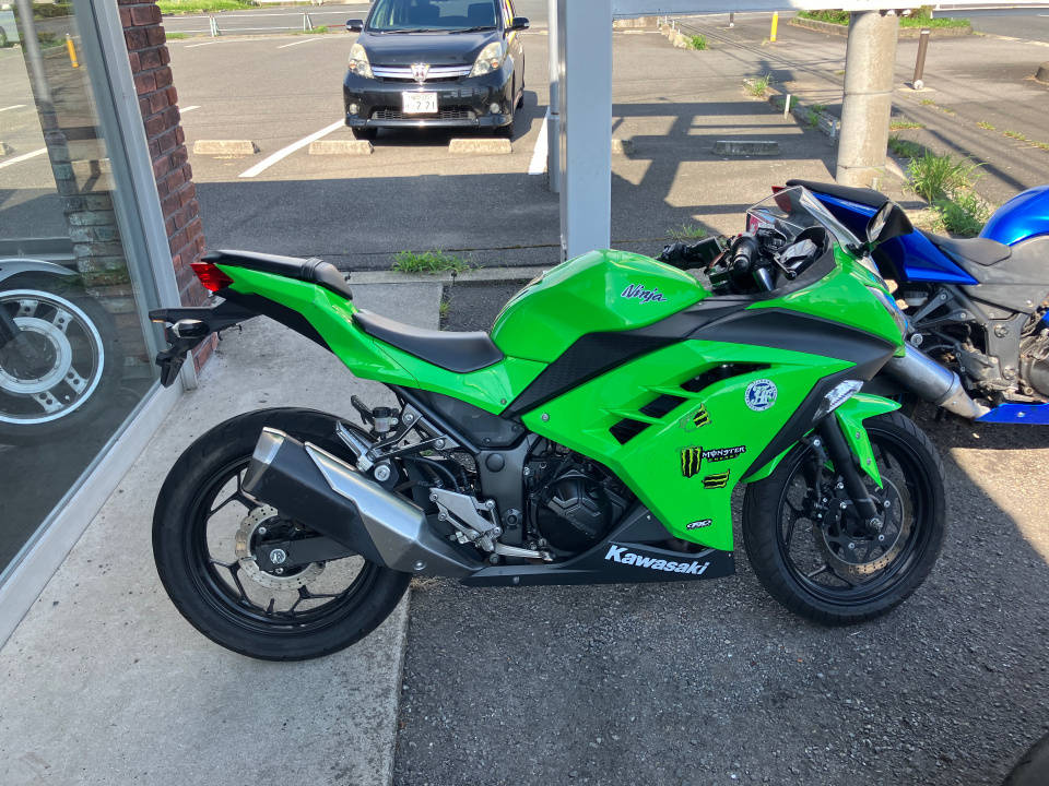 Kawasaki NINJA250 2014