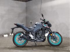 Yamaha MT-25 2022