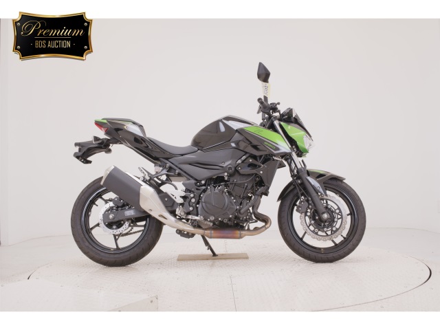 Kawasaki Z250 2023
