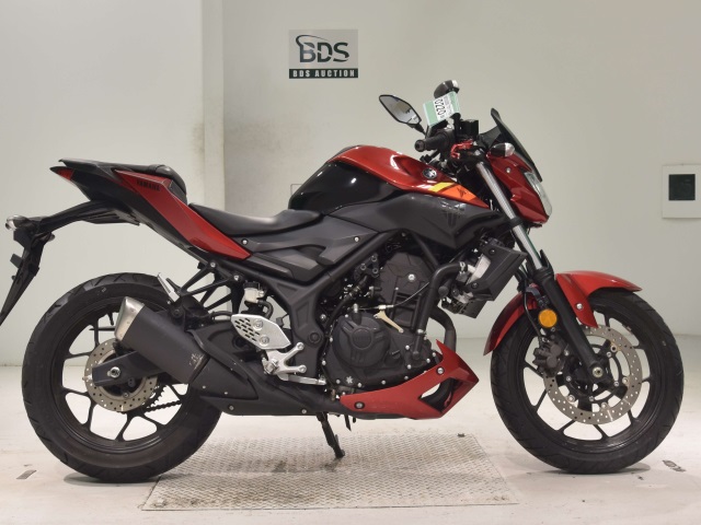 Yamaha MT-25 2017