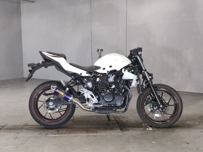 Suzuki GSX250R