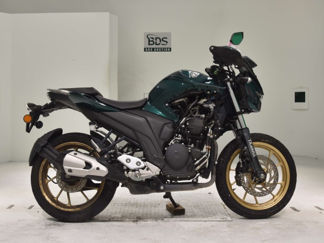 Yamaha FZS25 2020