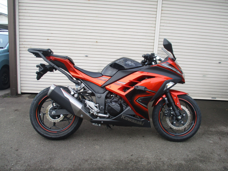 Kawasaki NINJA250 2014