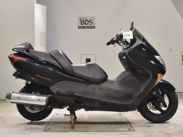 Honda FORZA Z 2005