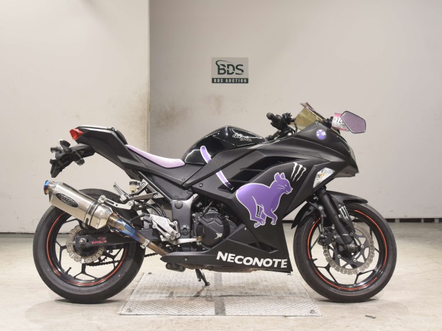 Kawasaki NINJA250 2014