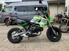 Kawasaki KSR110 2007