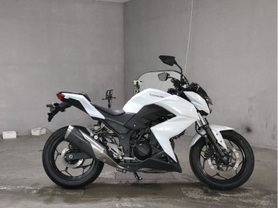 Kawasaki Z250 2013