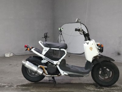 Honda ZOOMER 2006